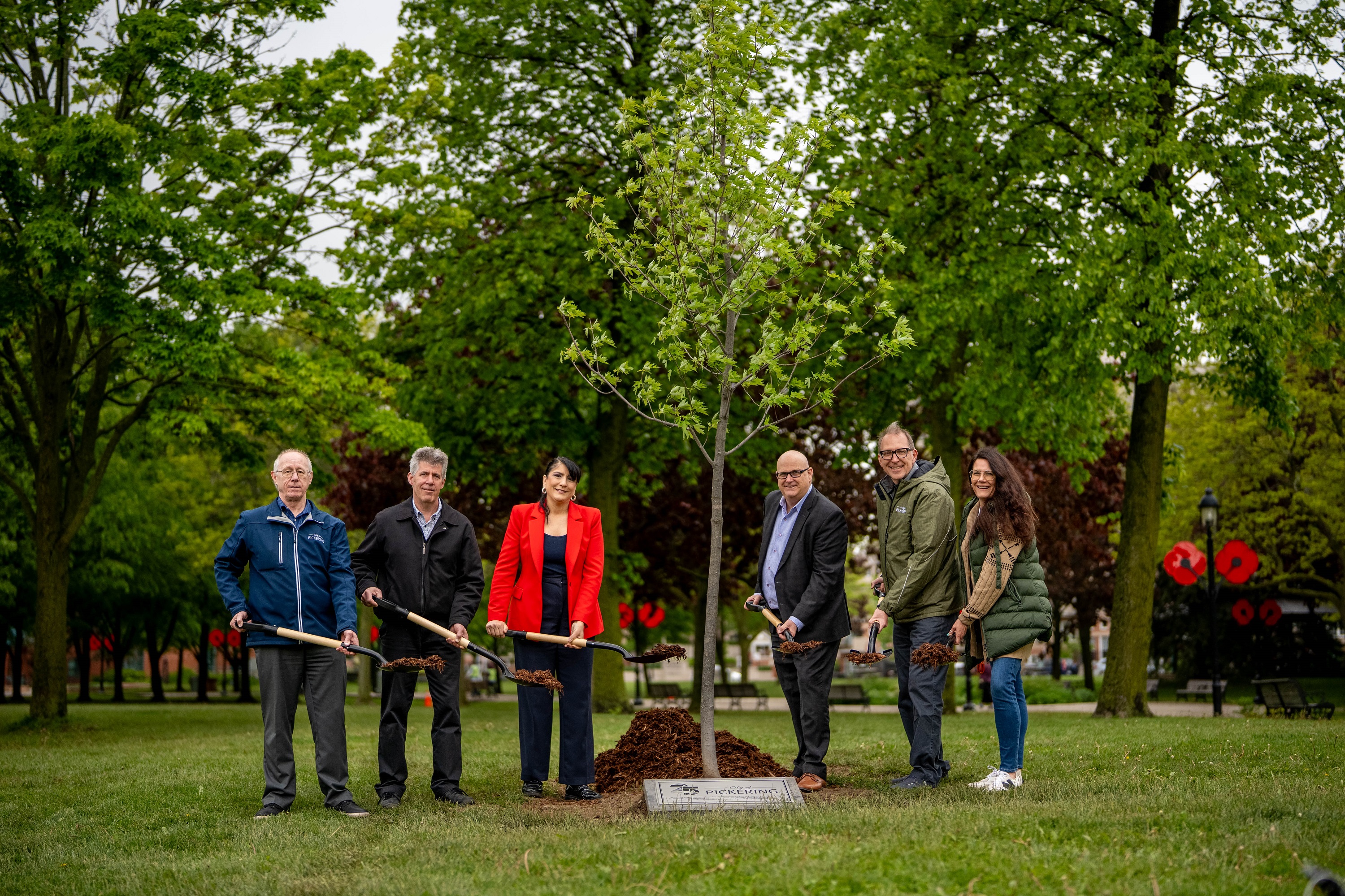 Silver Maple Tree Planting, June 2025, Mayor, Councillors, Staff